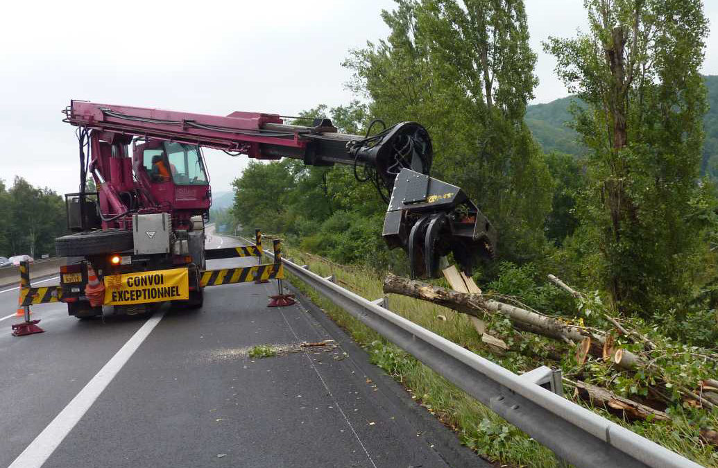 Question de Xavier Desgain au Parlement wallon concernant coupes massives d’arbres  en bordure des autoroutes dans la région de Charleroi