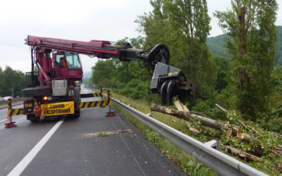 Question de Xavier Desgain au Parlement wallon concernant coupes massives d’arbres  en bordure des autoroutes dans la région de Charleroi